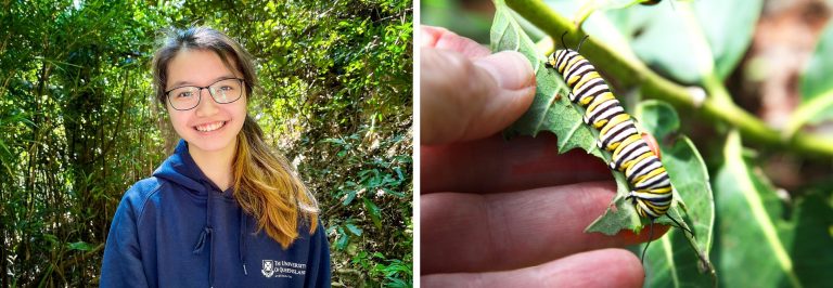 Diptych image with a young smiling woman with long hair, glasses and a blue hoodie on the left. On the right, a person's hand touching a leaf holding a monarch caterpillar